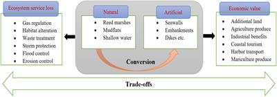 Increasing coastal reclamation by Invasive alien plants and coastal armoring threatens the ecological sustainability of coastal wetlands